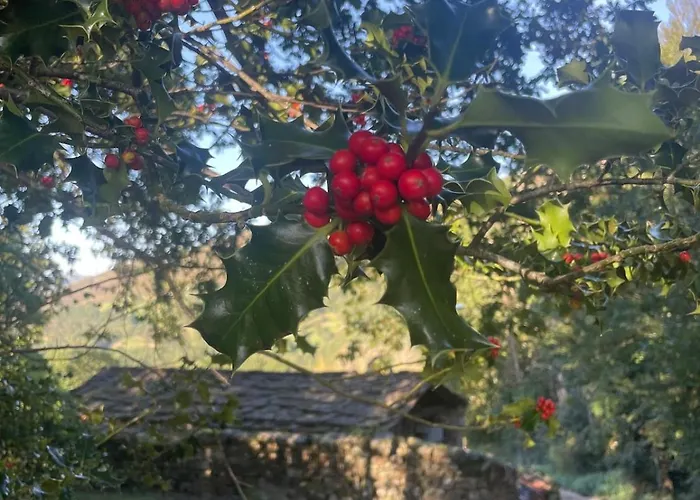 Pasiega El Ojal B San Pedro Del Romeral
